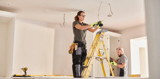 Best Home Electrical Repair  in Earlvle, IL