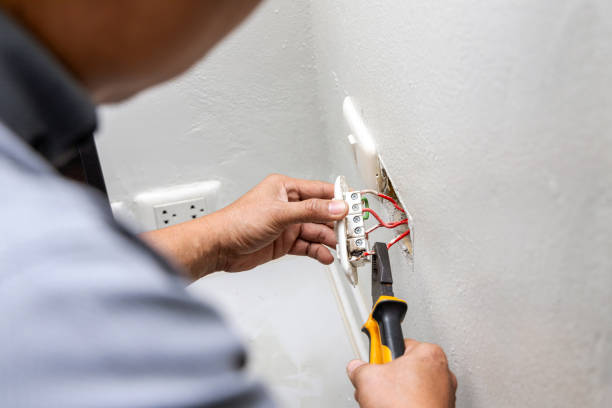 Best Home Electrical Repair  in Earlvle, IL