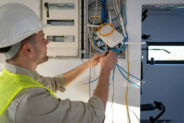 Best Local Electrician Companies  in Earlvle, IL