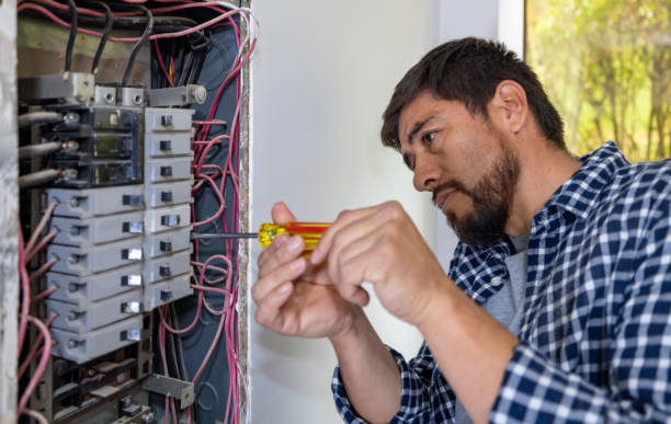 Best Electrical Repair Services  in Earlvle, IL
